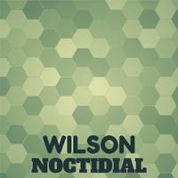 Wilson Noctidial