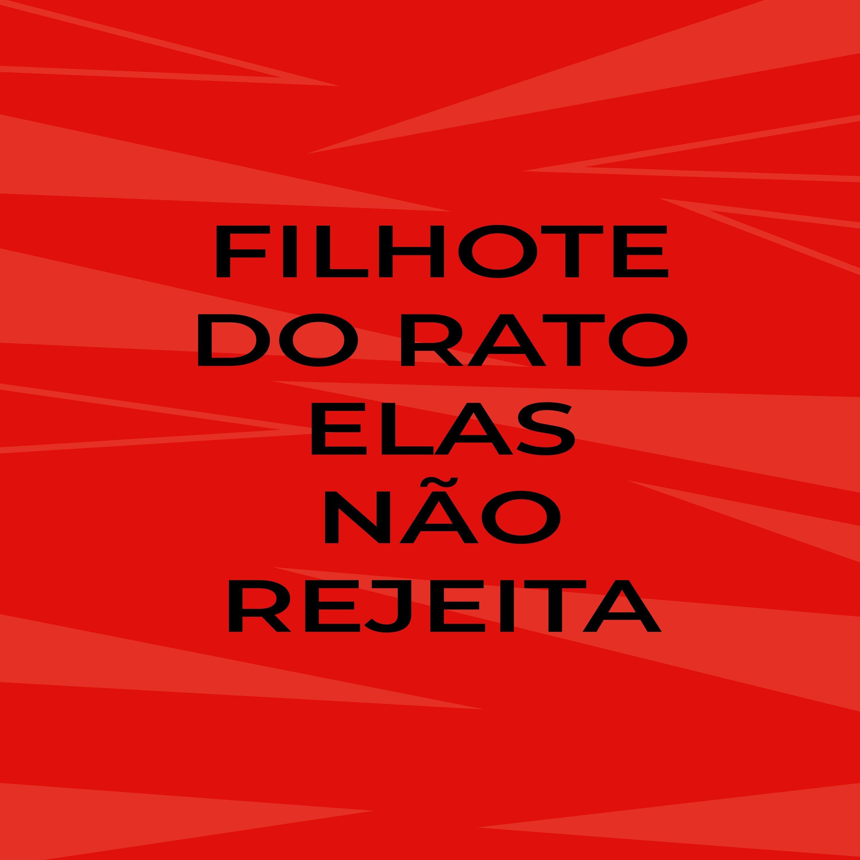 Filhote do Rato Elas Não Rejeita