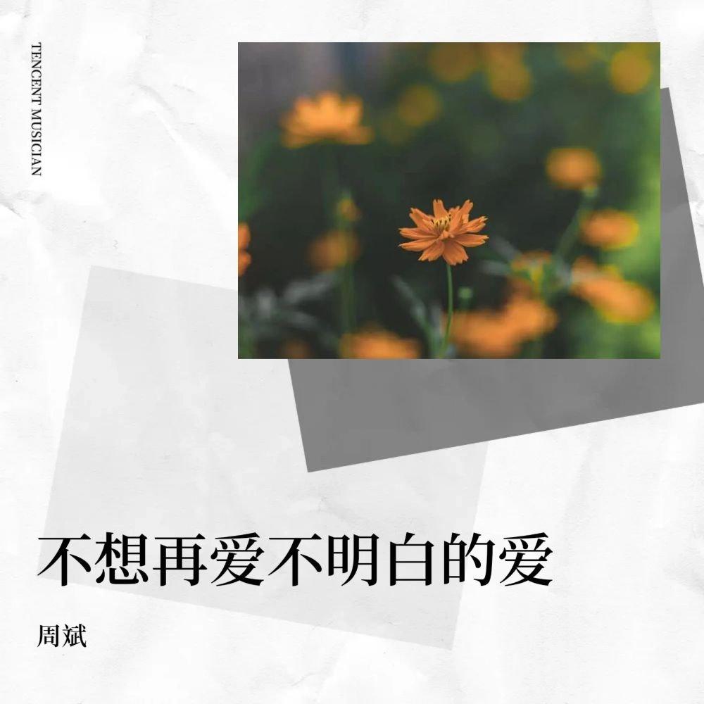 不想再爱不明白的爱封面