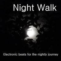 Night Walk (Electronic beats for the nightly journey)