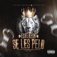 Este Leon Se Les Pelo