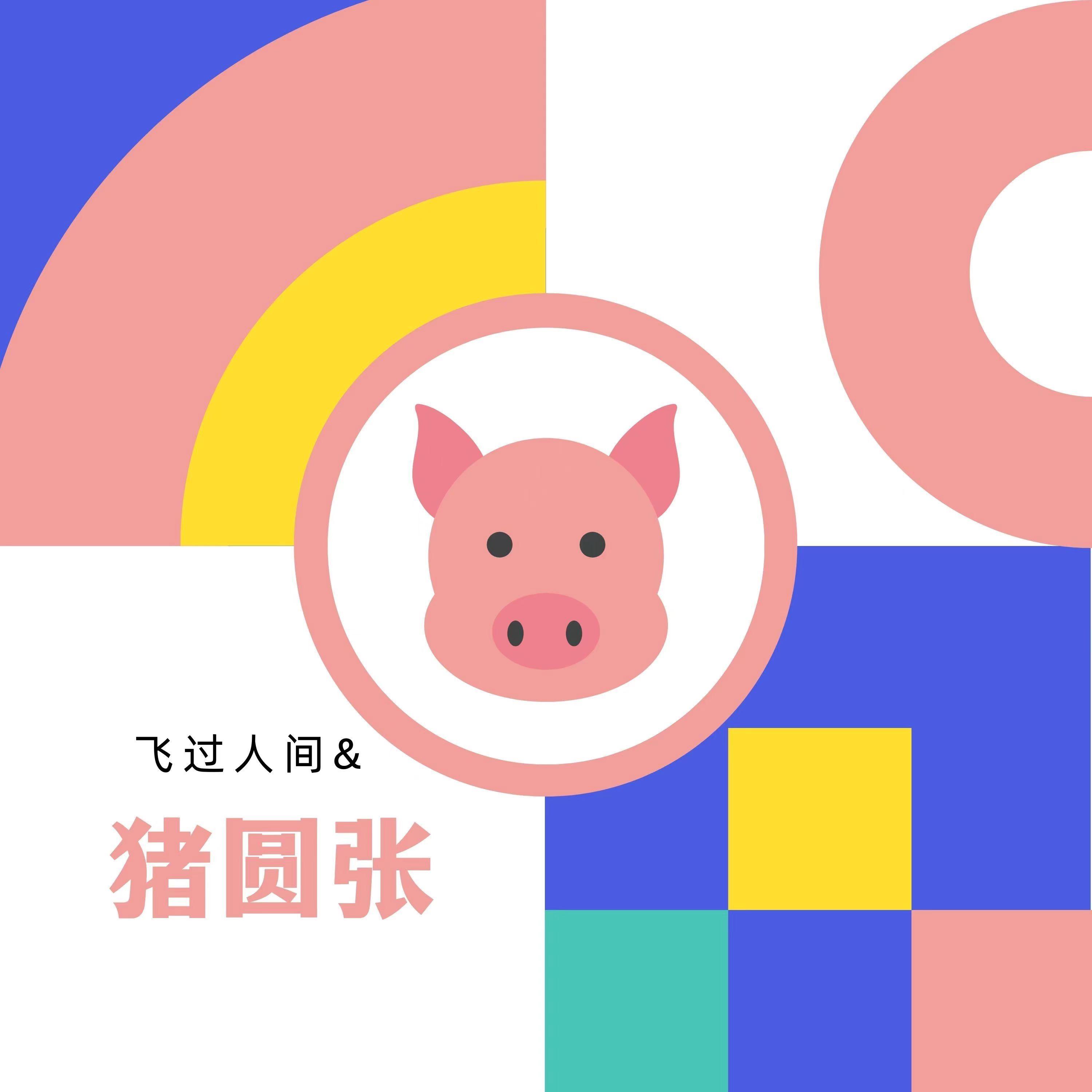猪圆张 - 飞过人间封面