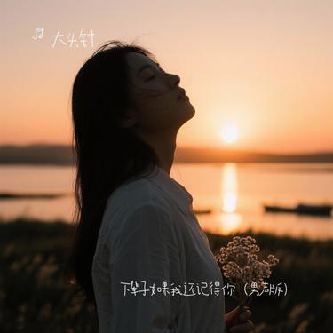 下辈子如果我还记得你 (男声版) - 大头针封面