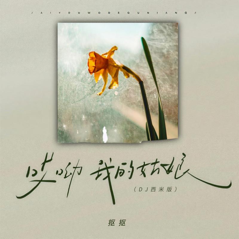 哎呦我的姑娘 (DJ版)封面