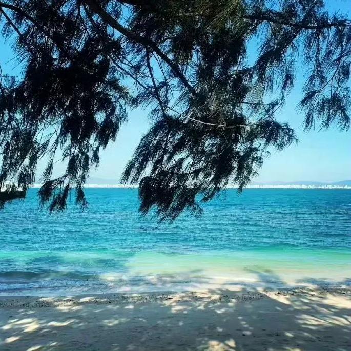 珊瑚海封面