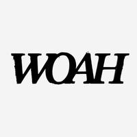 WOAH (feat. Checks, BRUHMANEGOD, Cxrpse & Fenrir)