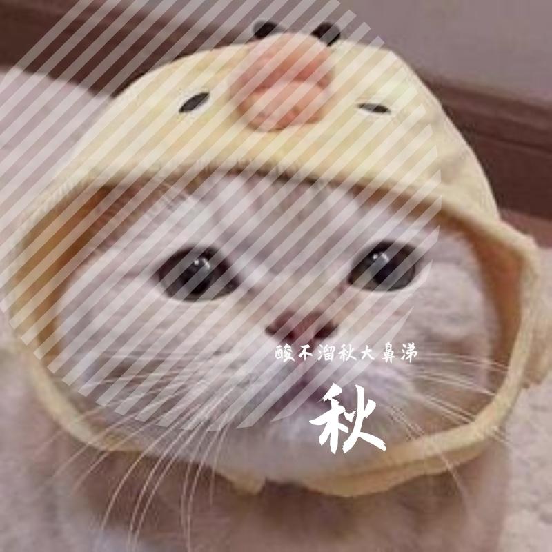 掉了(Live)封面