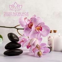 2020 New Age Sounds for Spa Salons: Moment for Yourself, Luxury Spa, Lie Down and Relax, Massage Music, Moments of Forgetfulness, Nature Sounds with Piano Melodies