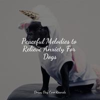 Peaceful Melodies to Relieve Anxiety For Dogs