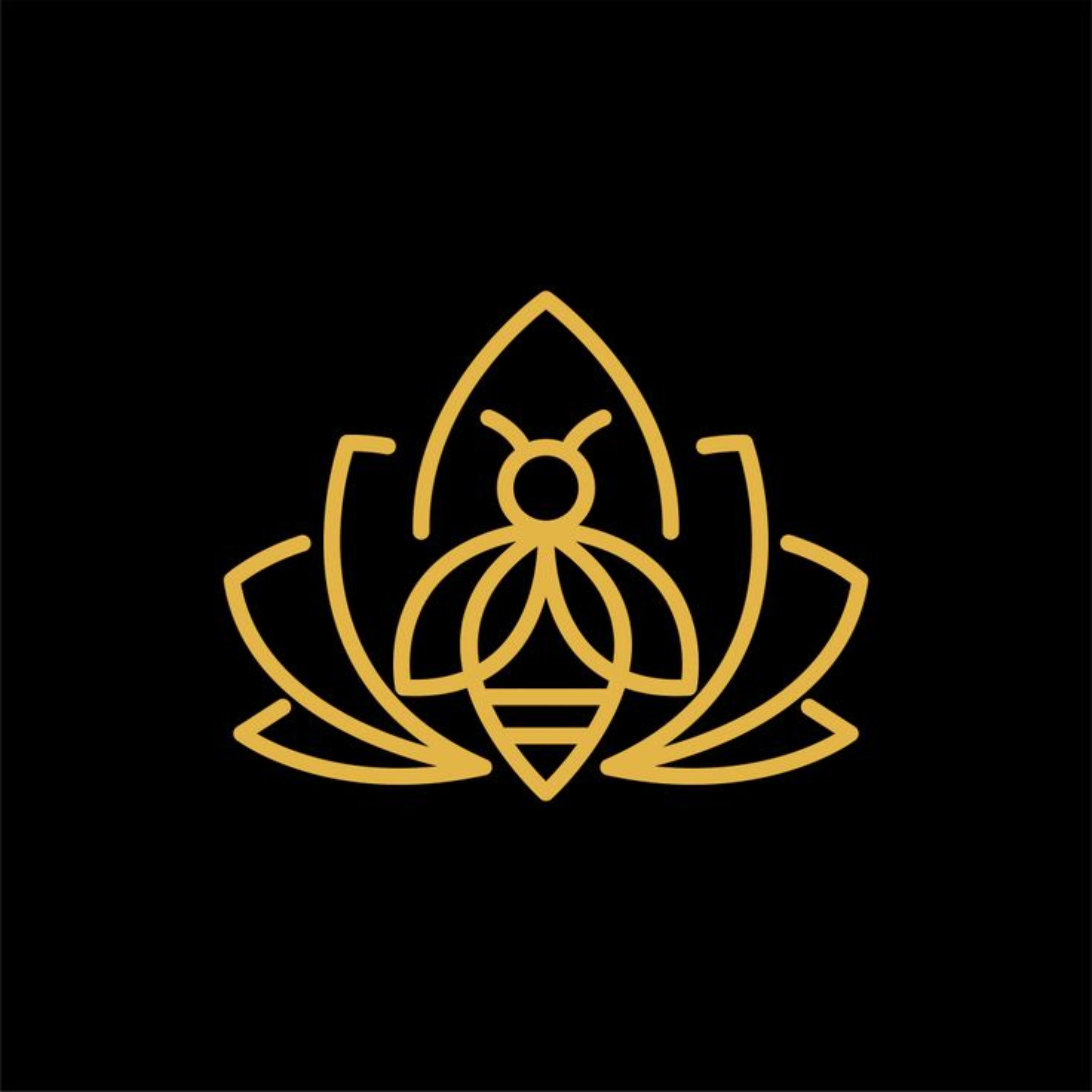 FocusedConsciousness