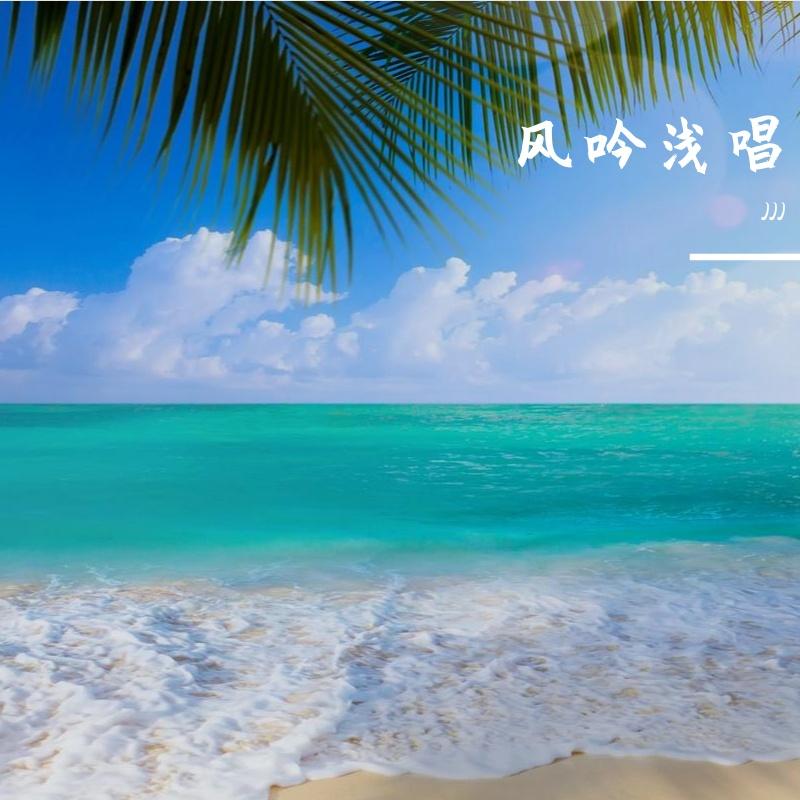 半夏流年封面