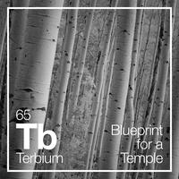 Blueprint for a Temple