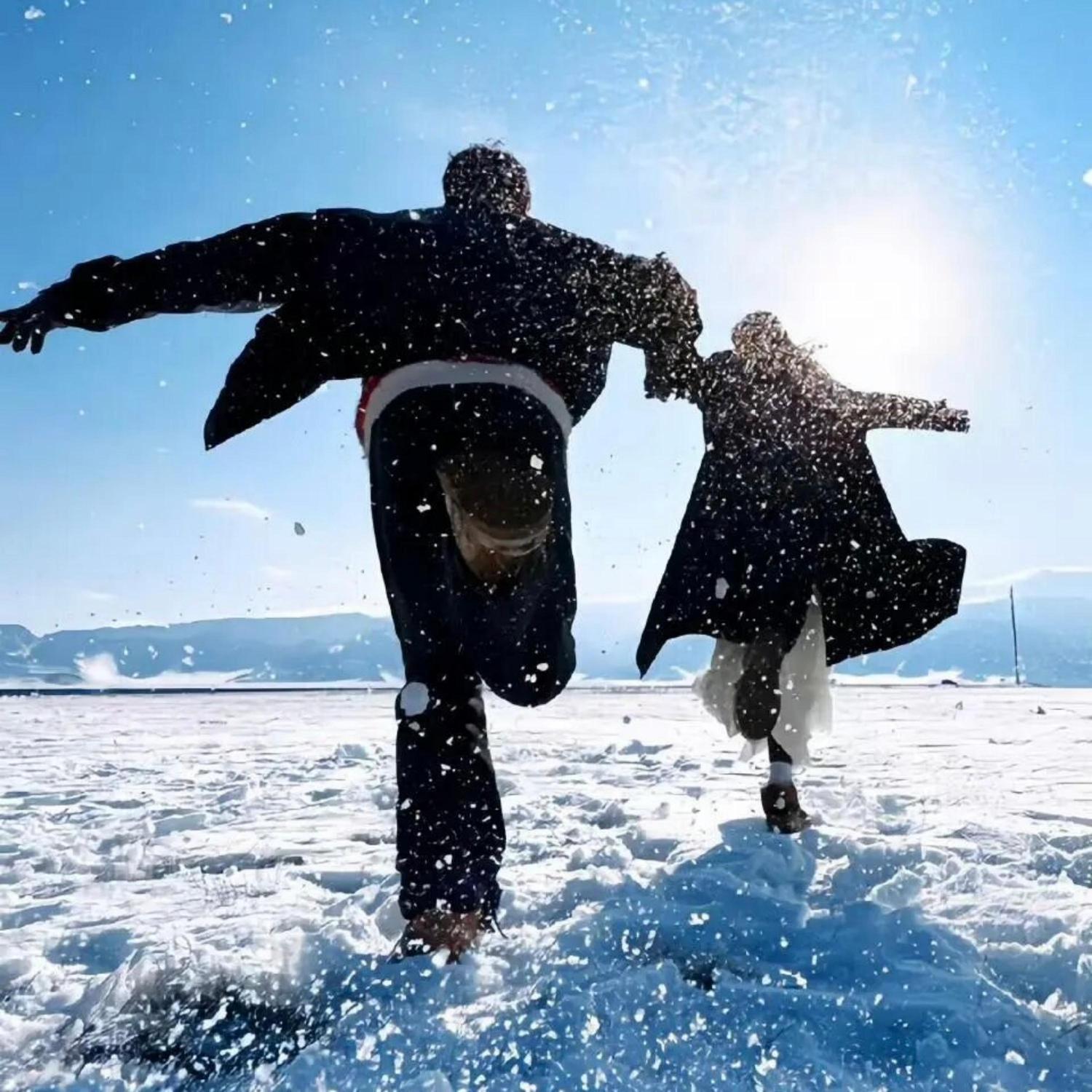 就当我的爱是东流水封面