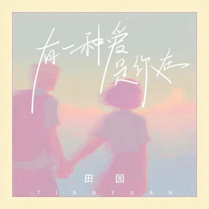 有一种爱是你在(DJ版) - 田园封面