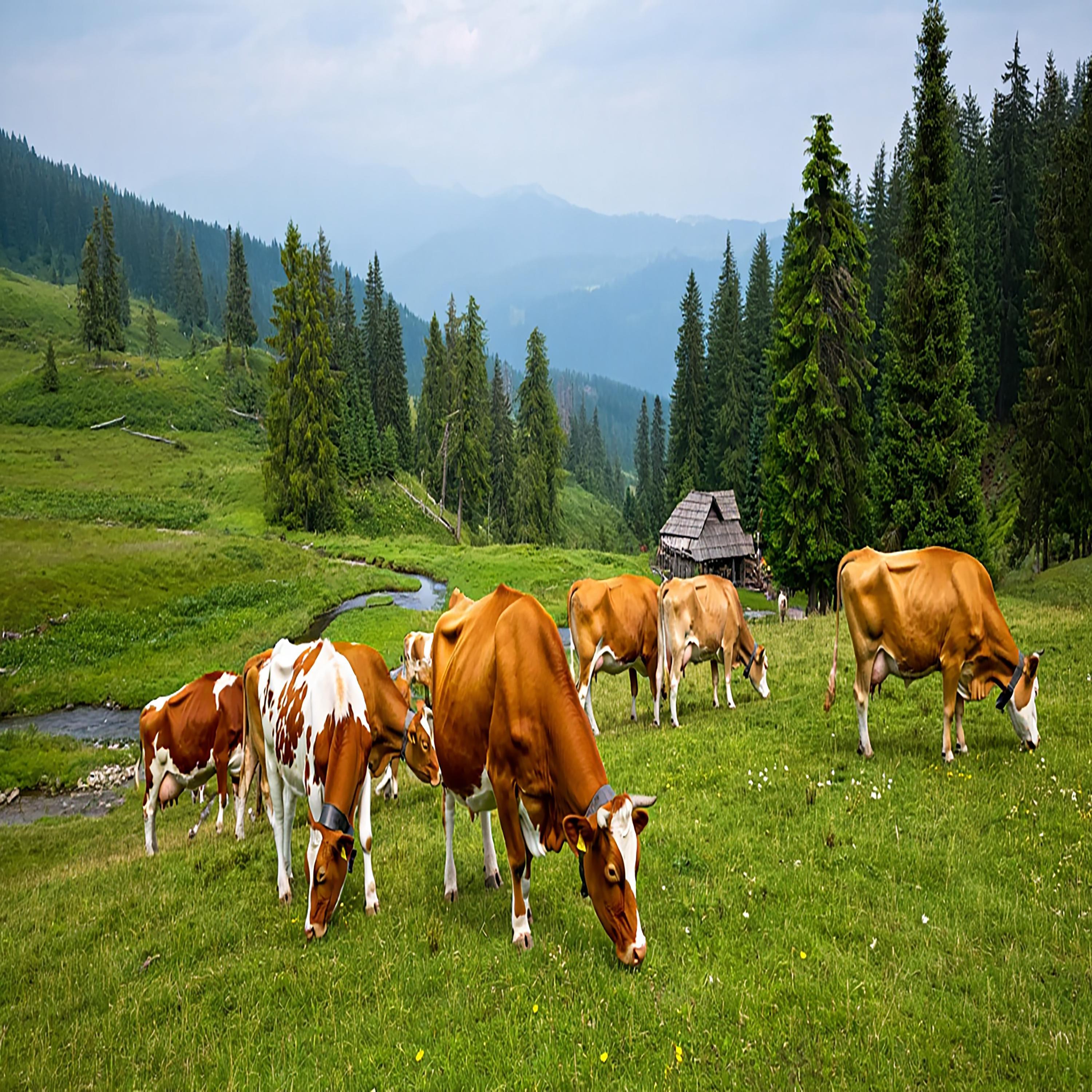 Tropical Crush Summer Vibes