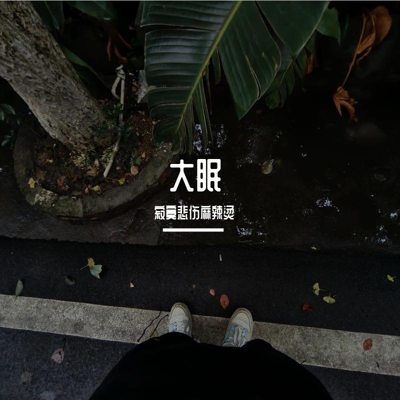 大眠 (失眠版)封面