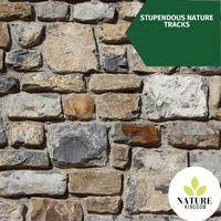 Stupendous Nature Tracks