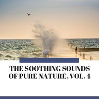 The Soothing Sounds of Pure Nature, Vol. 4