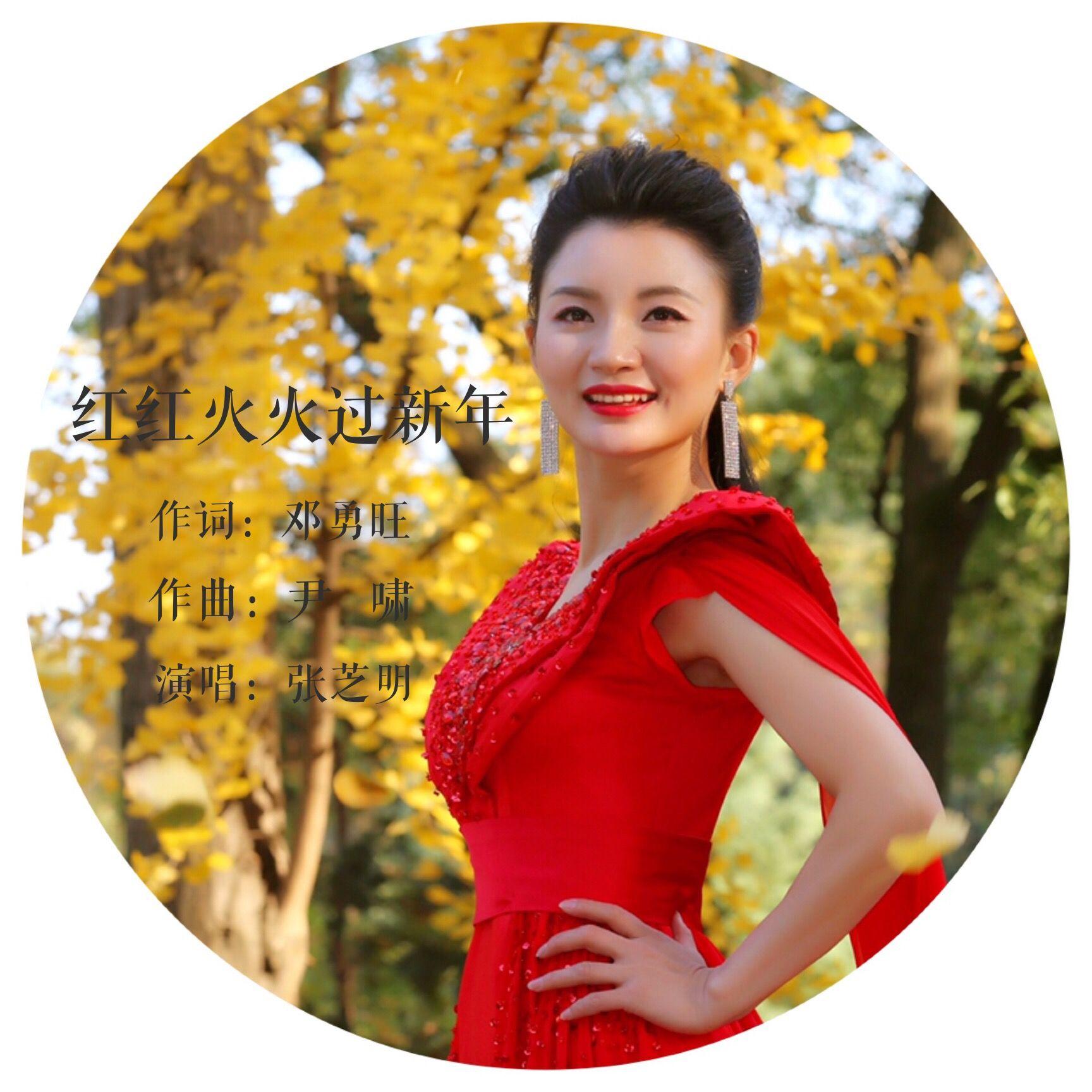 红红火火过新年封面