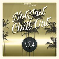 Not Just Chill Out Vol. 4