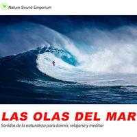 Las Olas Del Mar - estudiar, meditar, dormir, sonidos relajantes