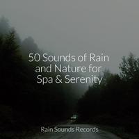 50 Sounds of Rain and Nature for Spa & Serenity