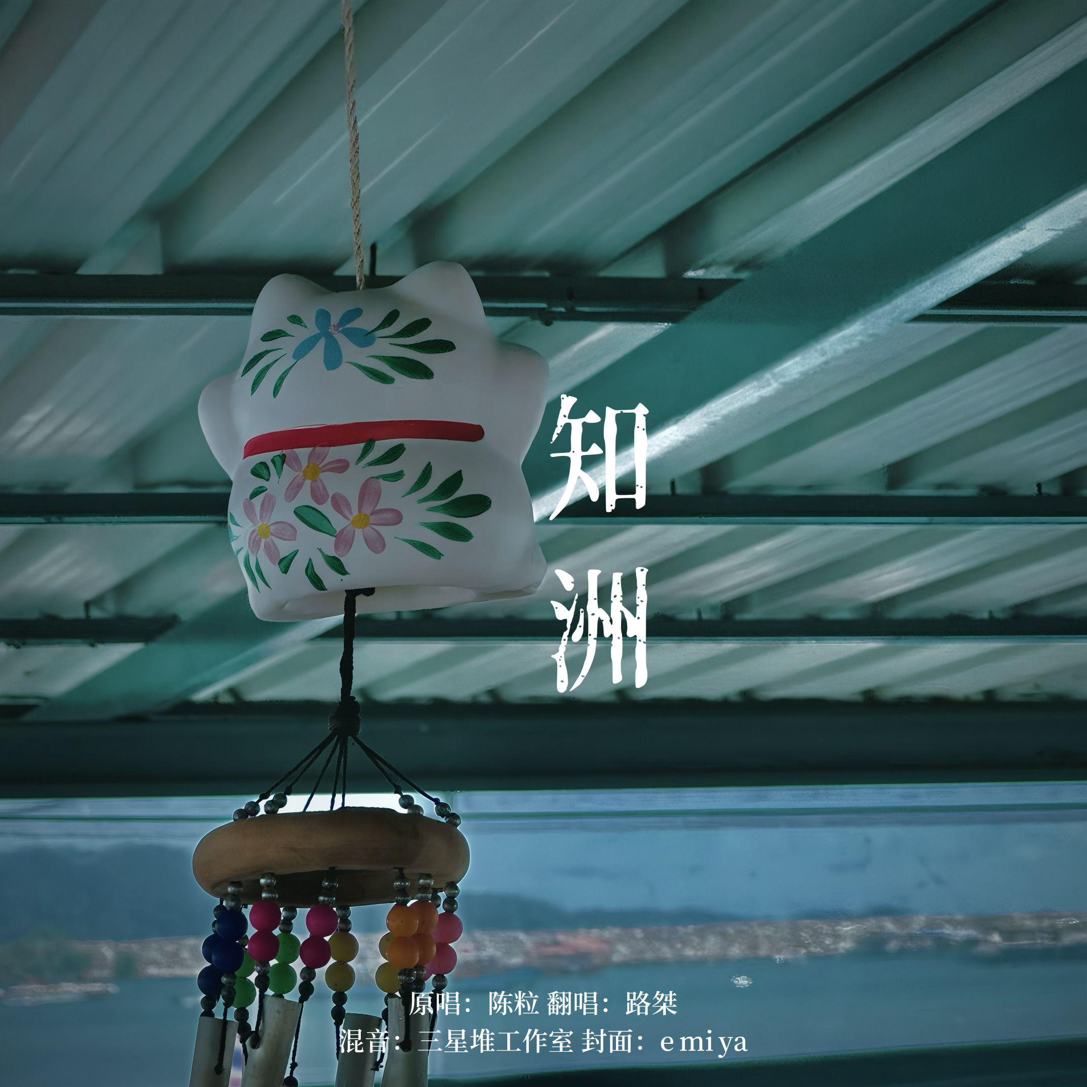 知洲封面