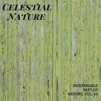 Celestial Nature - Inseparable Part of Nature, Vol. 10