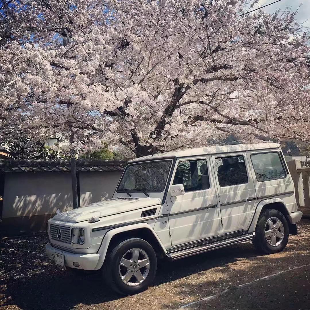 Roddy Ricch-The Box (Callum Knight Remix)（9imSdh remix）