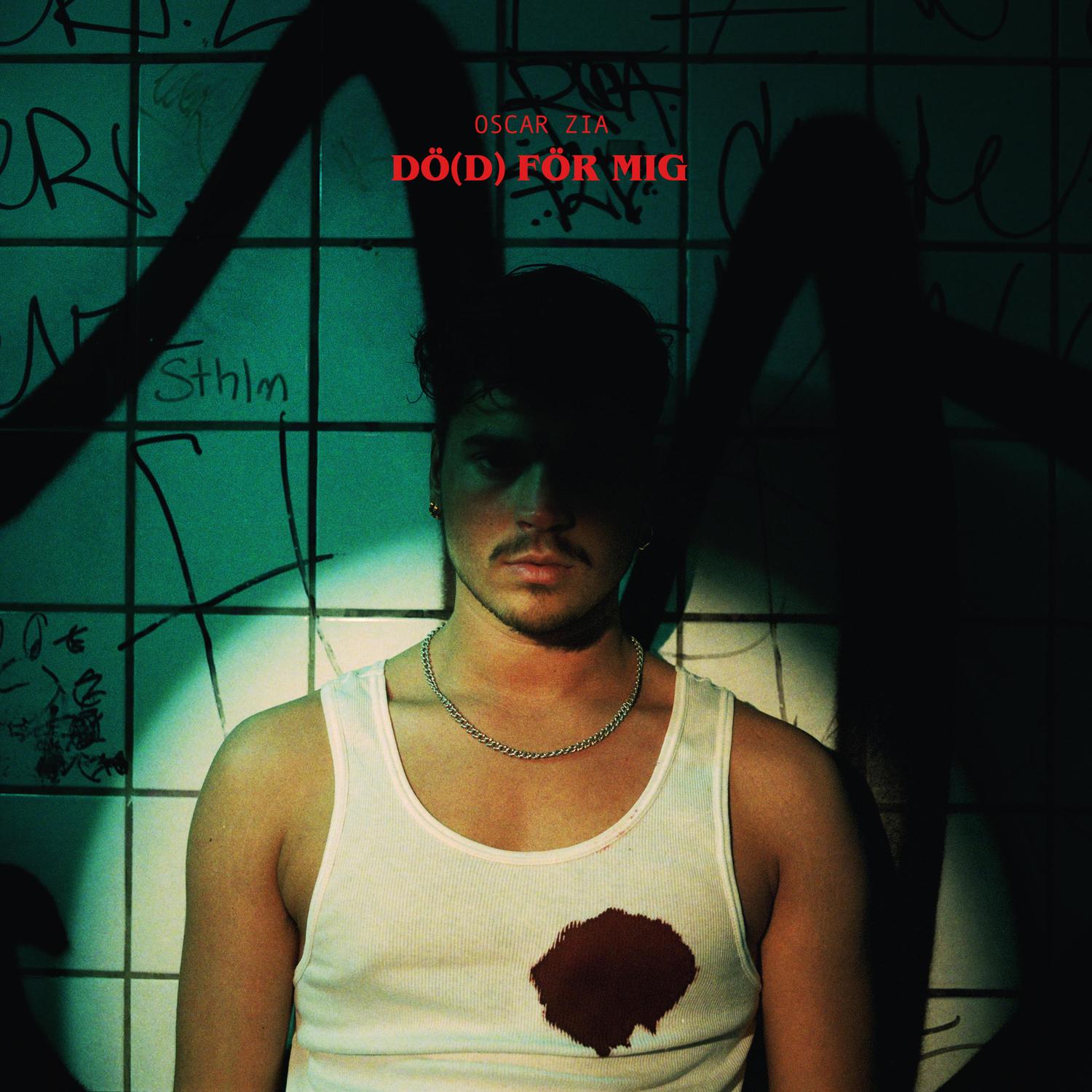 säga inget säger allt