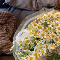 Tendㅤ资料,Tendㅤ最新歌曲,TendㅤMV视频,Tendㅤ音乐专辑,Tendㅤ好听的歌