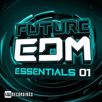 Future EDM Essentials, Vol. 1