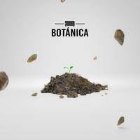 BOTÁNICA