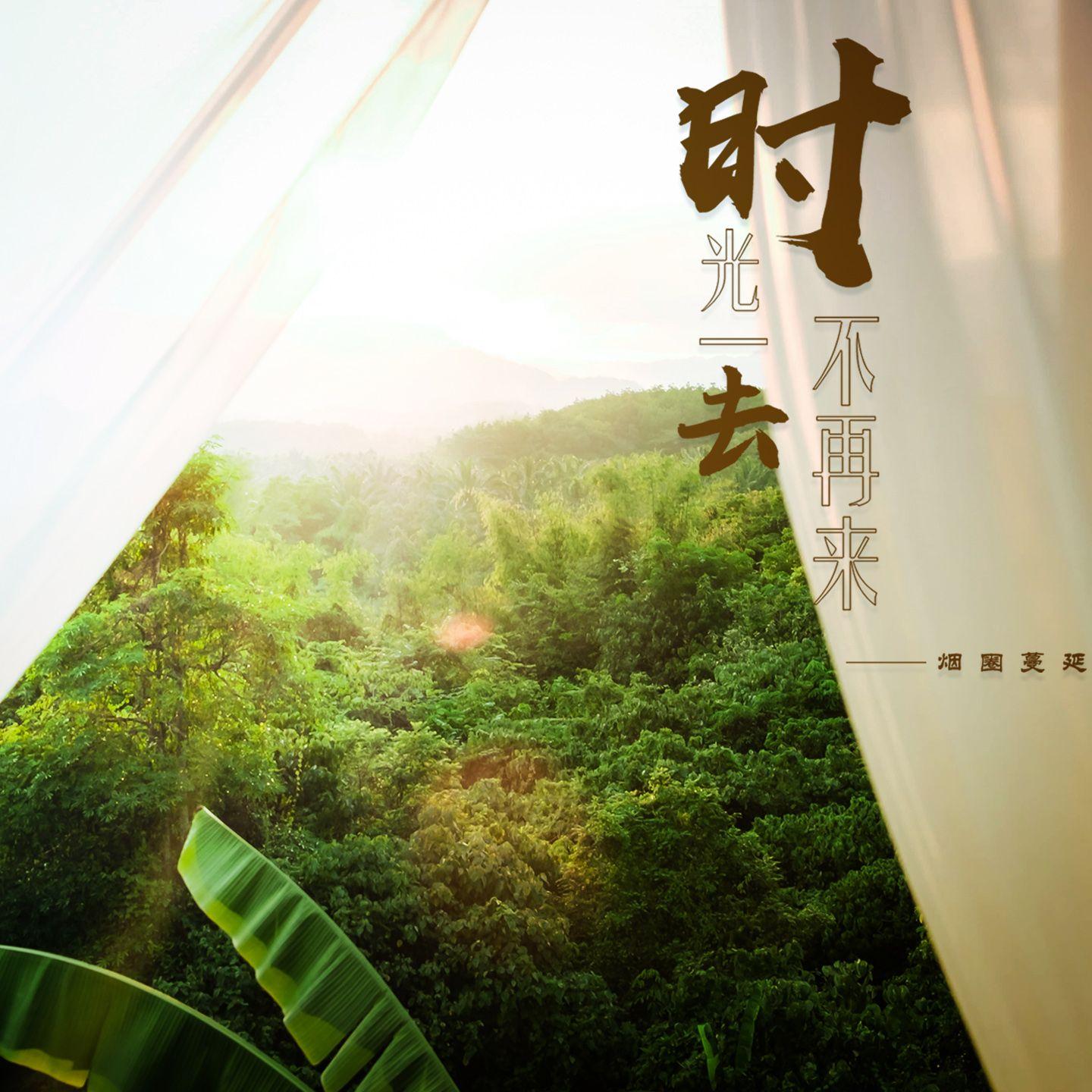 时光一去不再来 (DJLive合唱版）封面