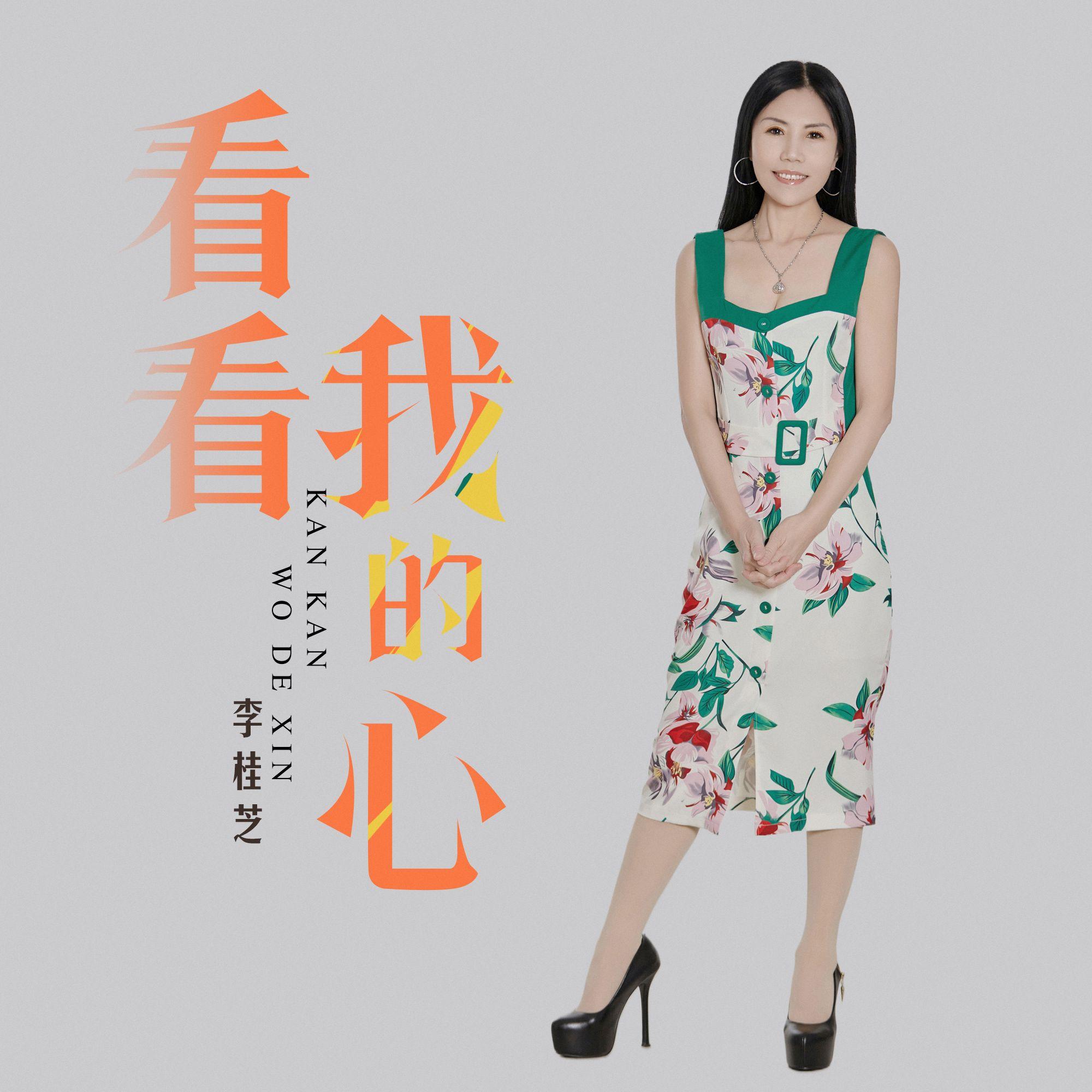 看看我的心 伴奏封面