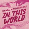 Shingai - In This World