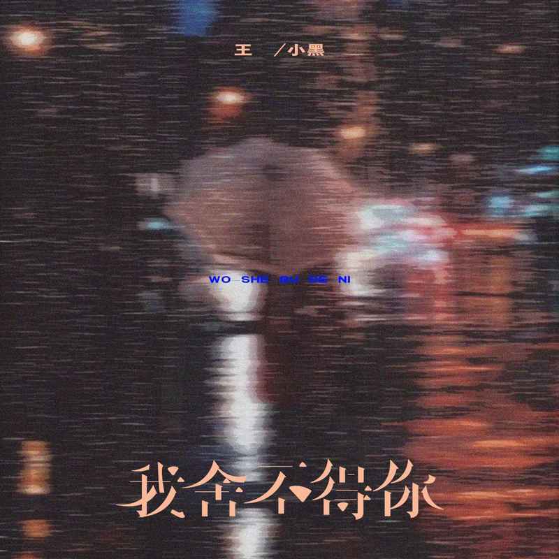 我舍不得你封面
