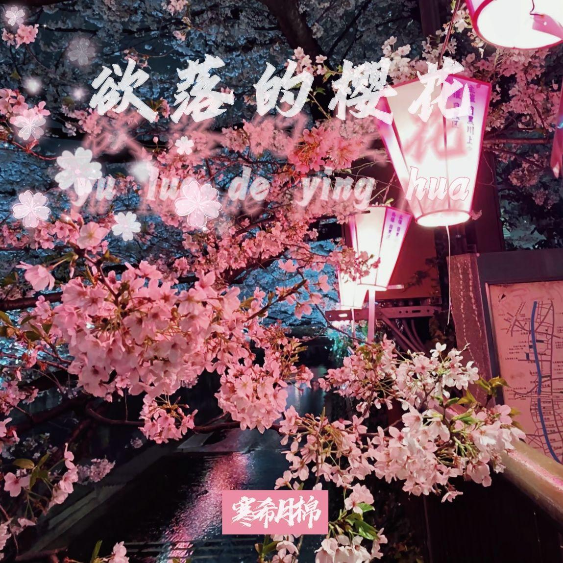 欲落的樱花封面