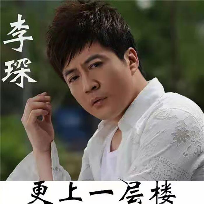 更上一层楼-李琛封面