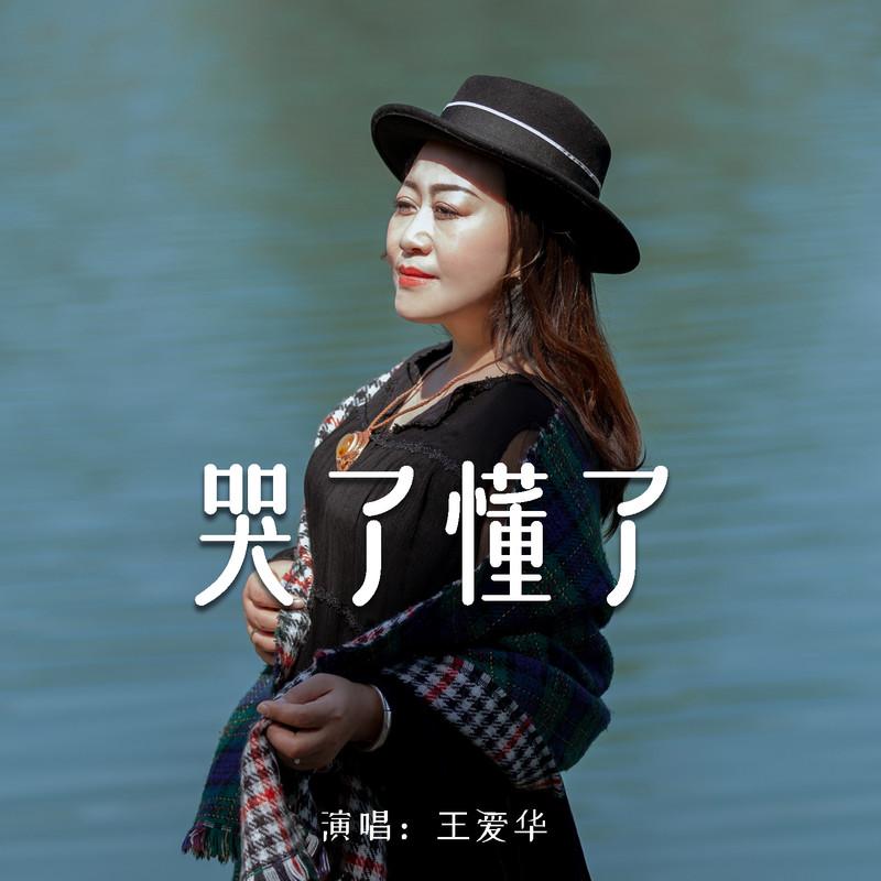 哭了懂了封面