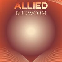 Allied Budworm