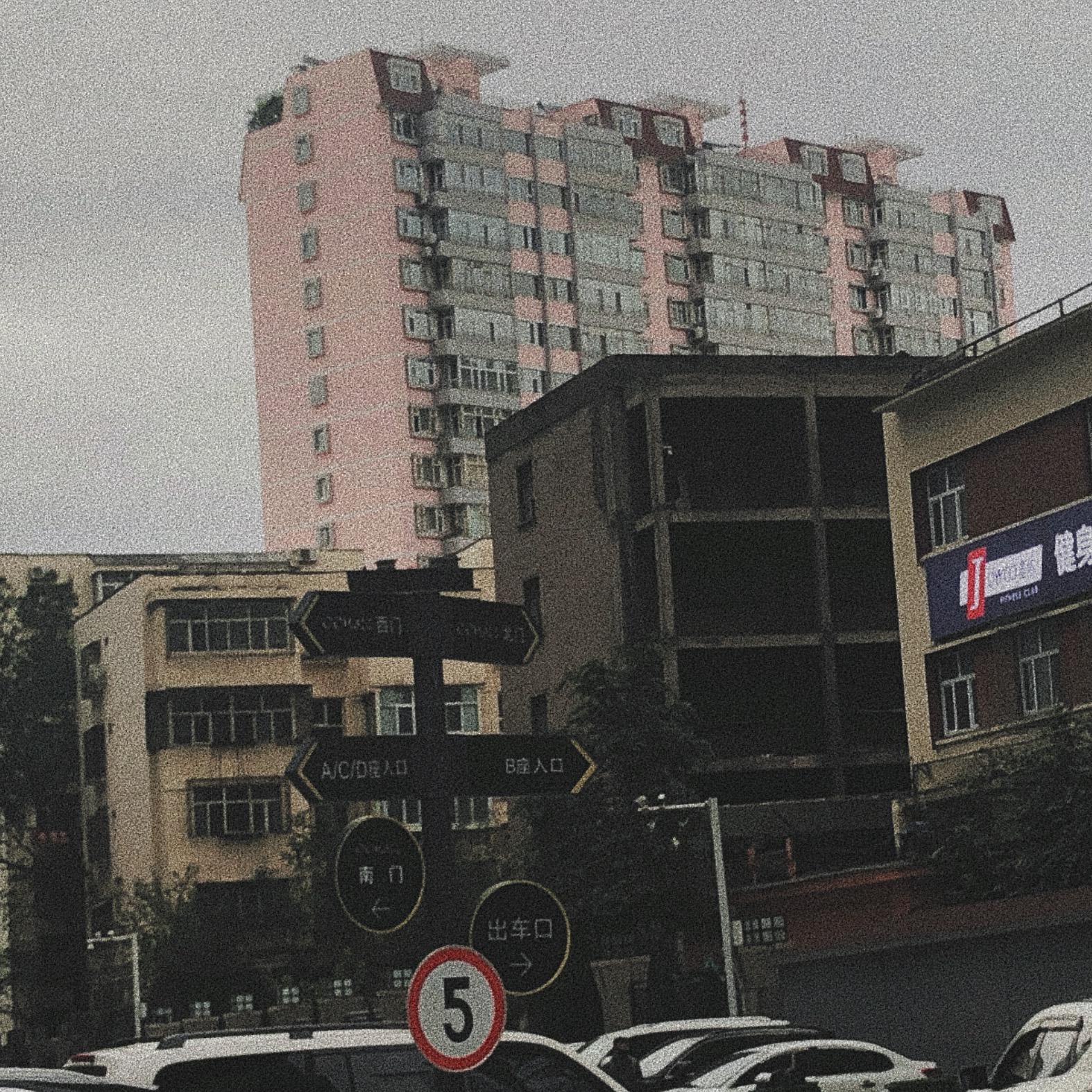 葡萄架下的篝火