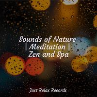 Sounds of Nature | Meditation | Zen and Spa