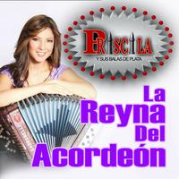 La Reyna Del Acordeón