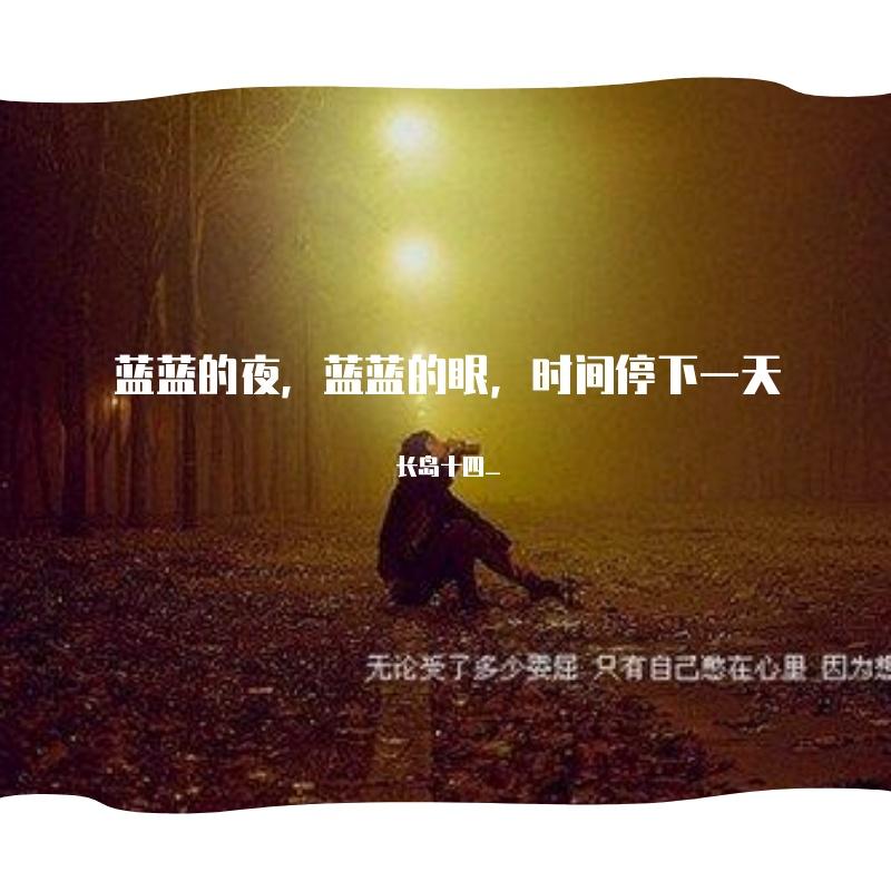 蓝蓝的夜封面