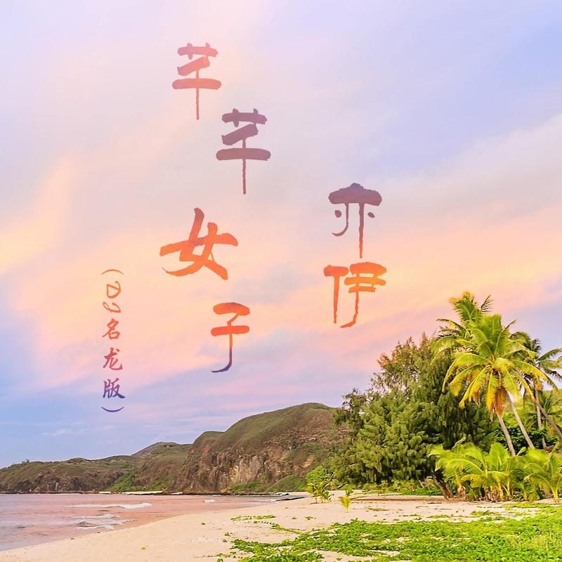 芊芊女子 (DJ名龙版)封面