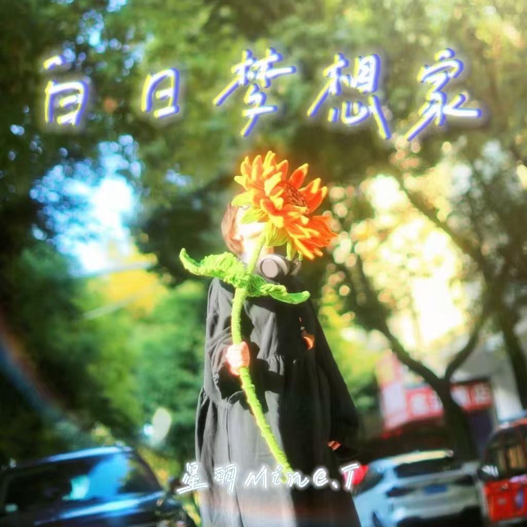 白日梦想家封面
