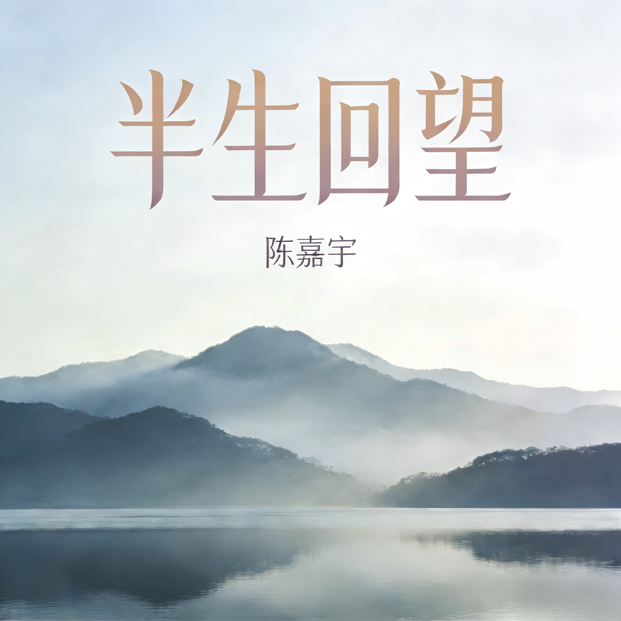 半生回望封面