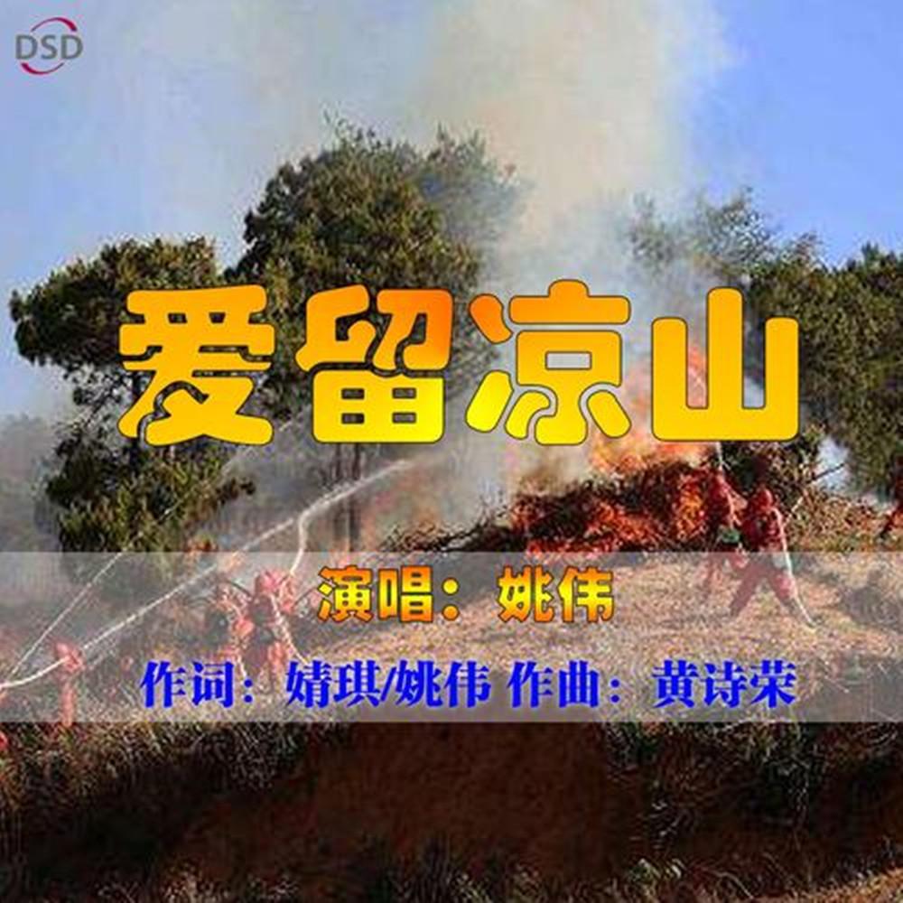 爱留凉山封面
