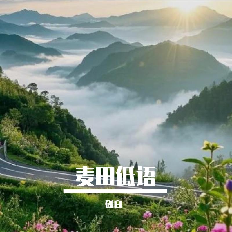 潮汐手札封面